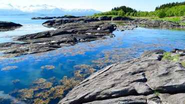 Hovden i Bodø