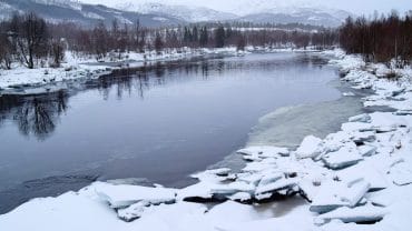 Lakselva i Valnesfjord en vinterdag