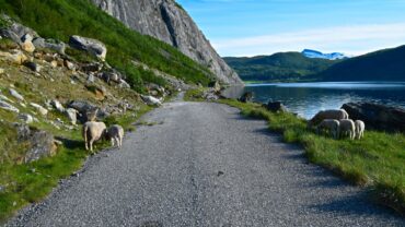 Gammelveien mot Misvær