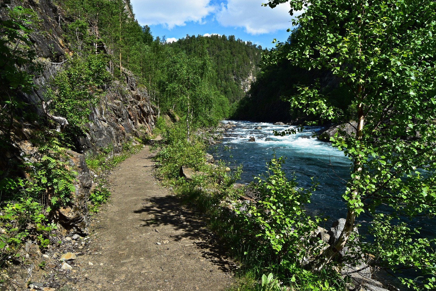 Elvelangs i Junkerdalsura