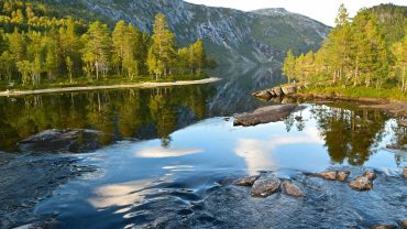 Storskogvatnet i Rago nasjonalpark