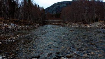 Bobblende elv i skogen