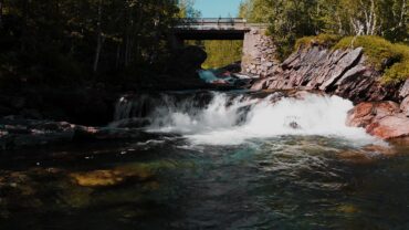 Brusende foss i skogen