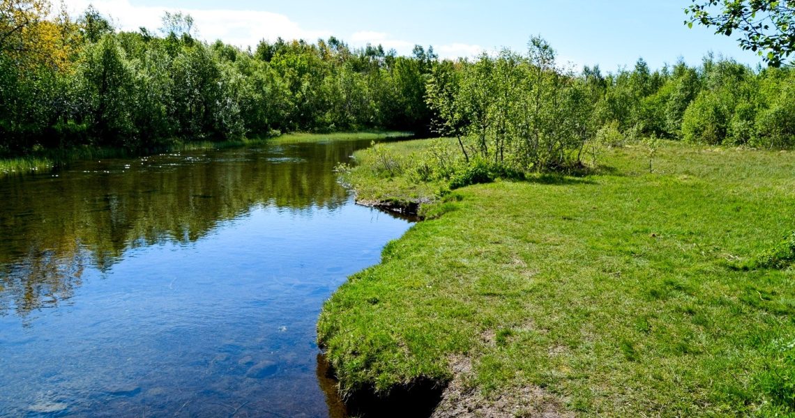 Skogstur langs Futelva