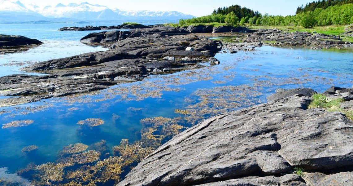 Hovden i Bodø