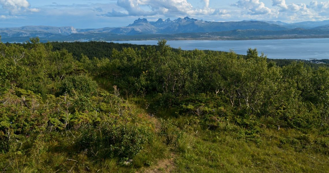 Junkerfjellet i Bodø