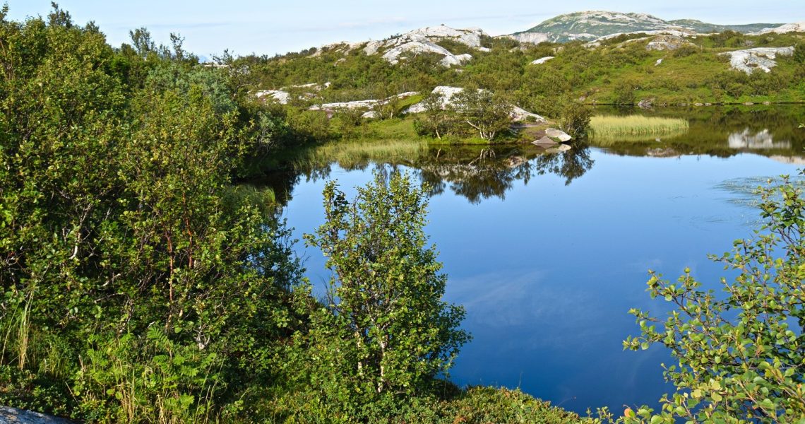 Pallvatnet i Bodø