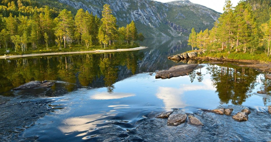 Storskogvatnet i Rago nasjonalpark