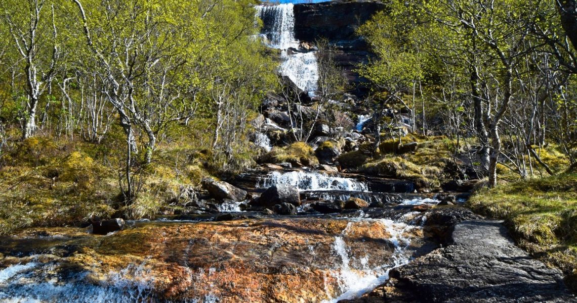 Skogstur på Skaug i Bodø