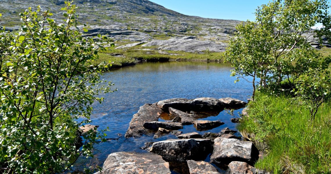 Småvatnan under Mjønesskaret