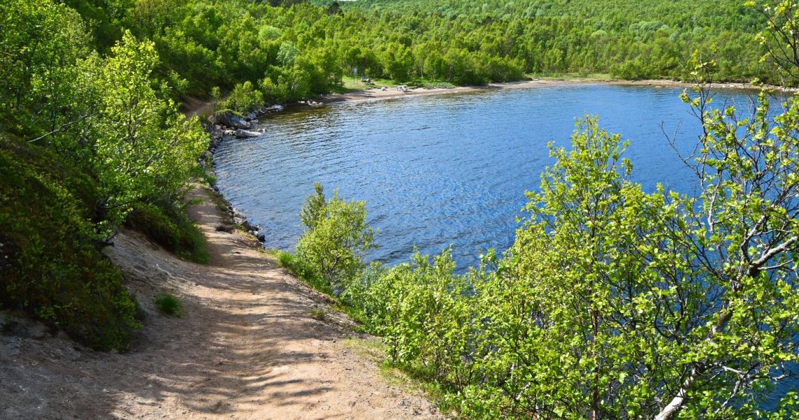 Skogstur rundt Vågøyvatnet