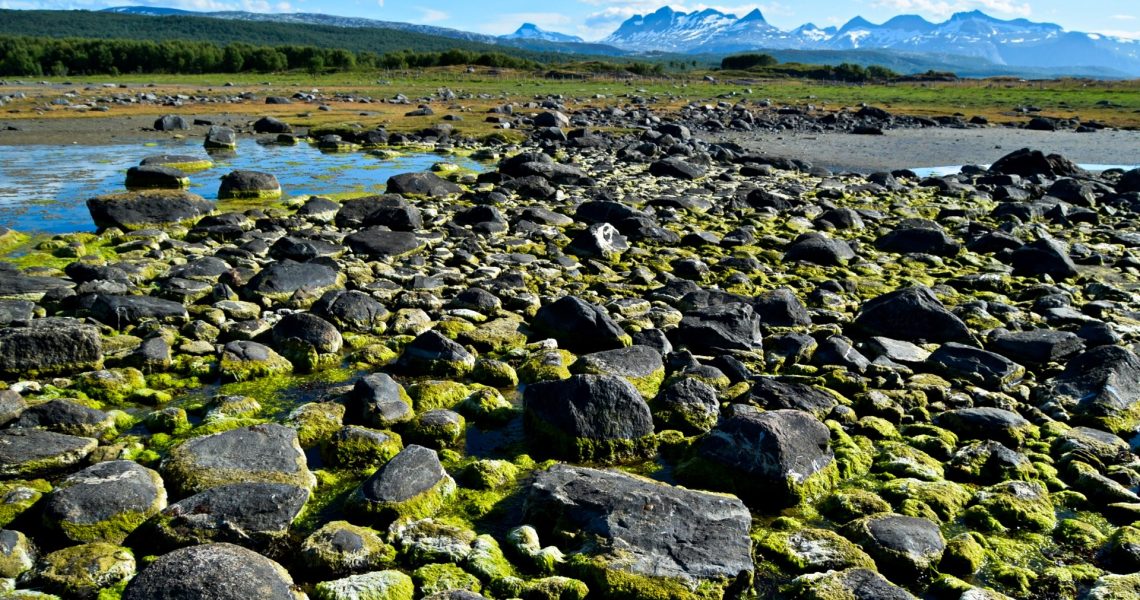 Tverlandet natur reservat i Bodø