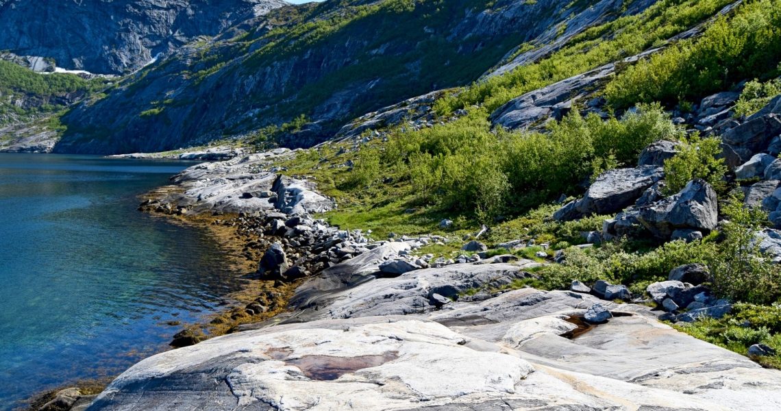 Fjæretur langs Elvefjorden