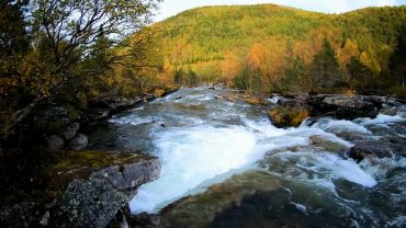 Foss i høstskogen