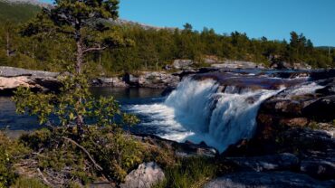 Foss i skogen