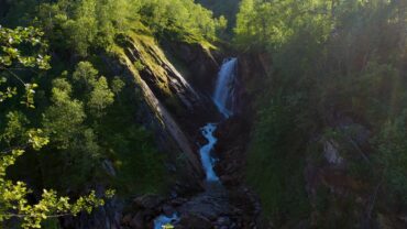 Foss i skogen