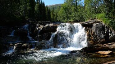 Foss i skogen