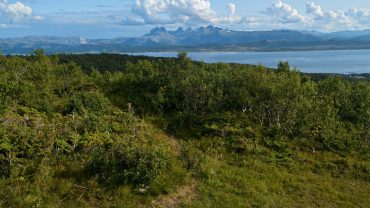 Junkerfjellet i Bodø