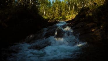 Liten foss i skogen