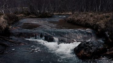 Liten foss i skogen