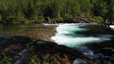 Lyden av ei elv i skogen