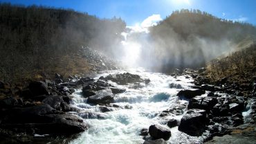 Naturlyden av en foss i skogen