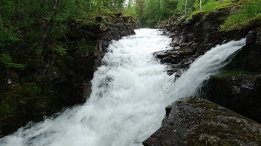 Lyden av en sterk foss i skogen