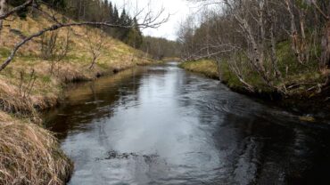 Naturlyd av ei elv