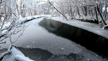 Elv som renner nedover vinterskogen