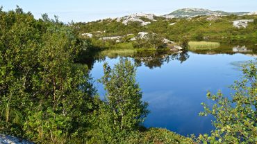 Pallvatnet i Bodø