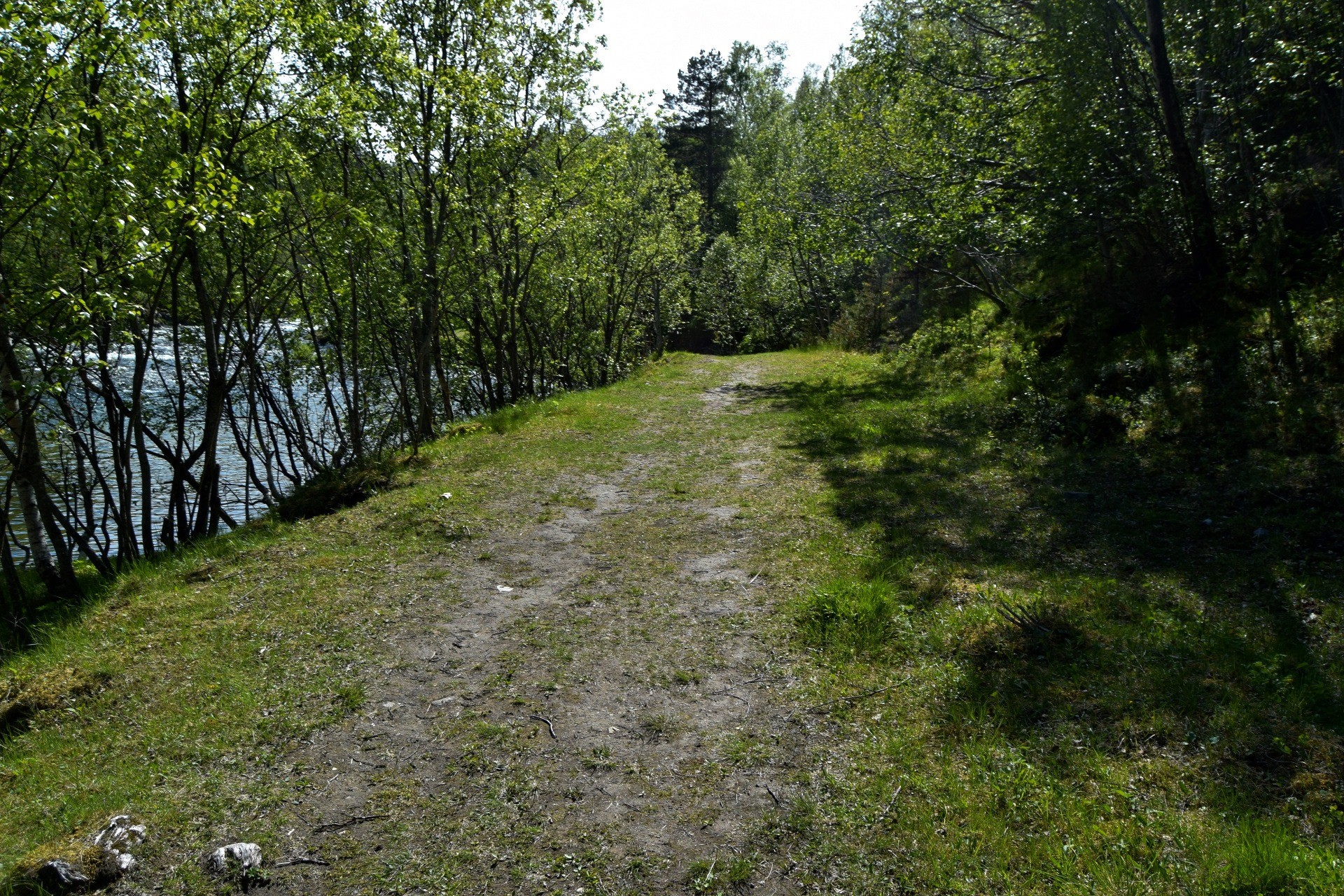 Skogstur til Valnesfossen