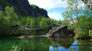 Sommerskog med naturlyder