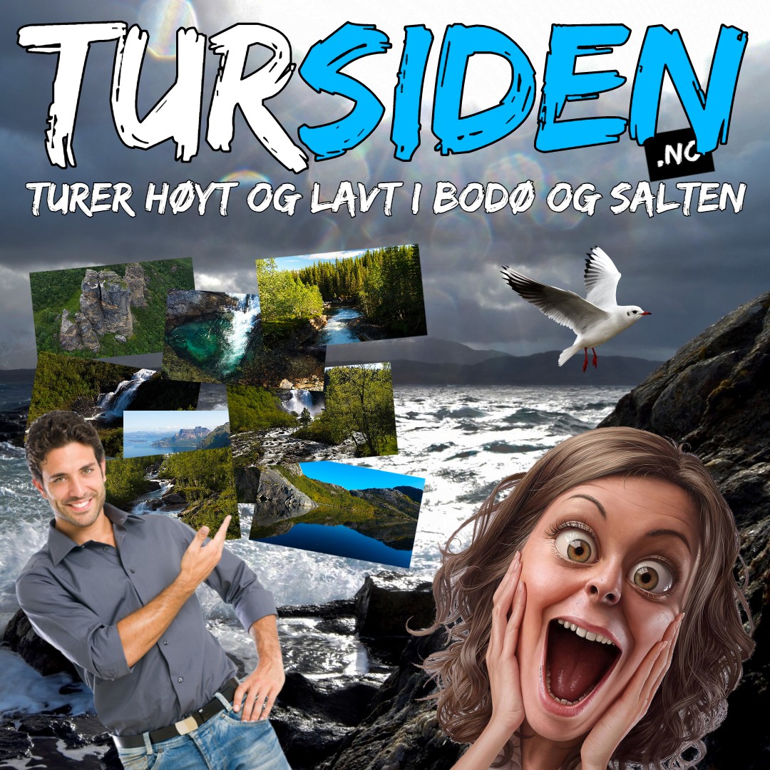 Tursiden logo