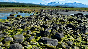 Tverlandet natur reservat i Bodø