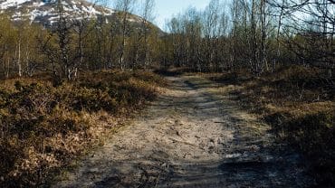 Naturlyder med landskapsvideoer