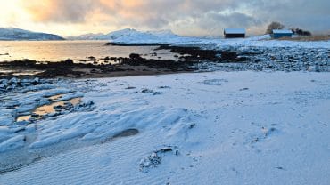 Kald vinterdag i fjæra ved Bodøsjøen